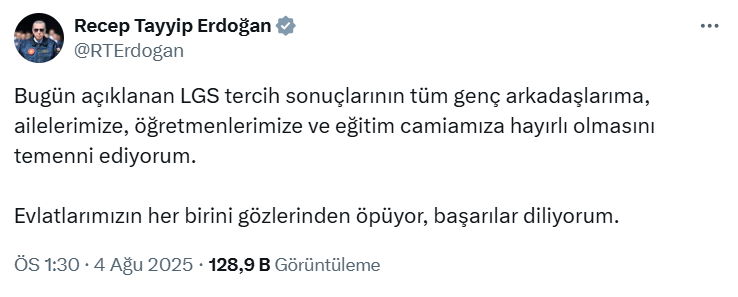 Ekran Görüntüsü 2025 08 04 141210