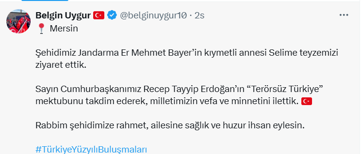 Ekran Görüntüsü 2025 08 08 191728