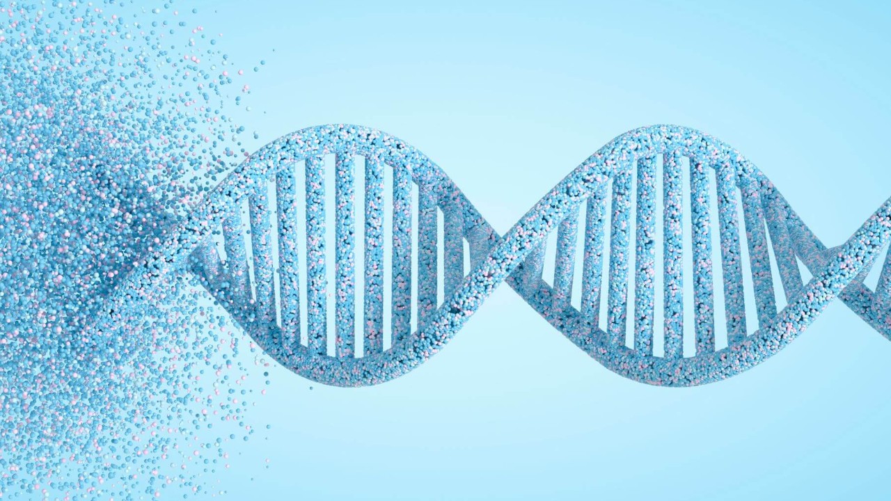 Epigenetik Nedir