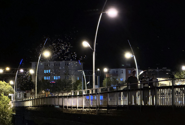 Eşsiz Gösteri Sineklerin Ölüm Dansı Görenleri Şaşırttı1