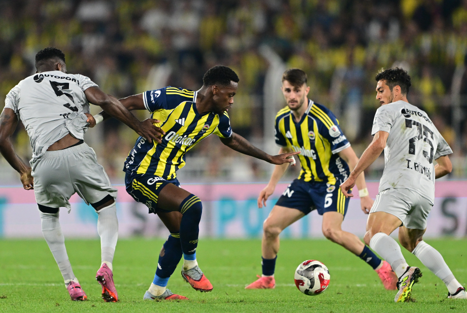 Fenerbahçe Kocelispor
