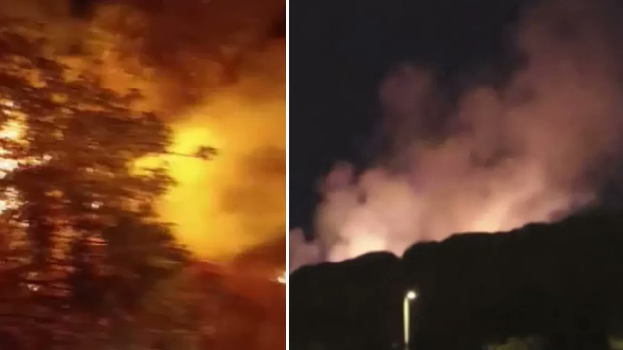 Geceyi Korku Sardı Arnavutköy’de Orman Yangını