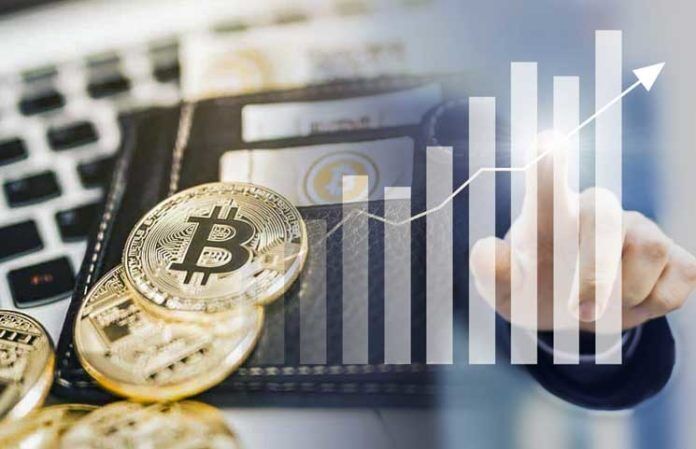 Gizemli Yatırımcının Cüzdanı 14 Yıl Sonra Harekete Geçti 1