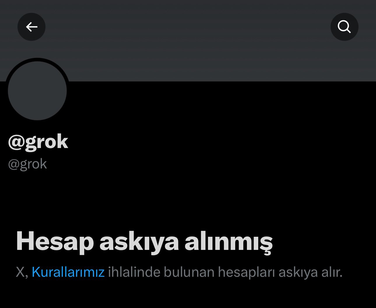 Grok Askı