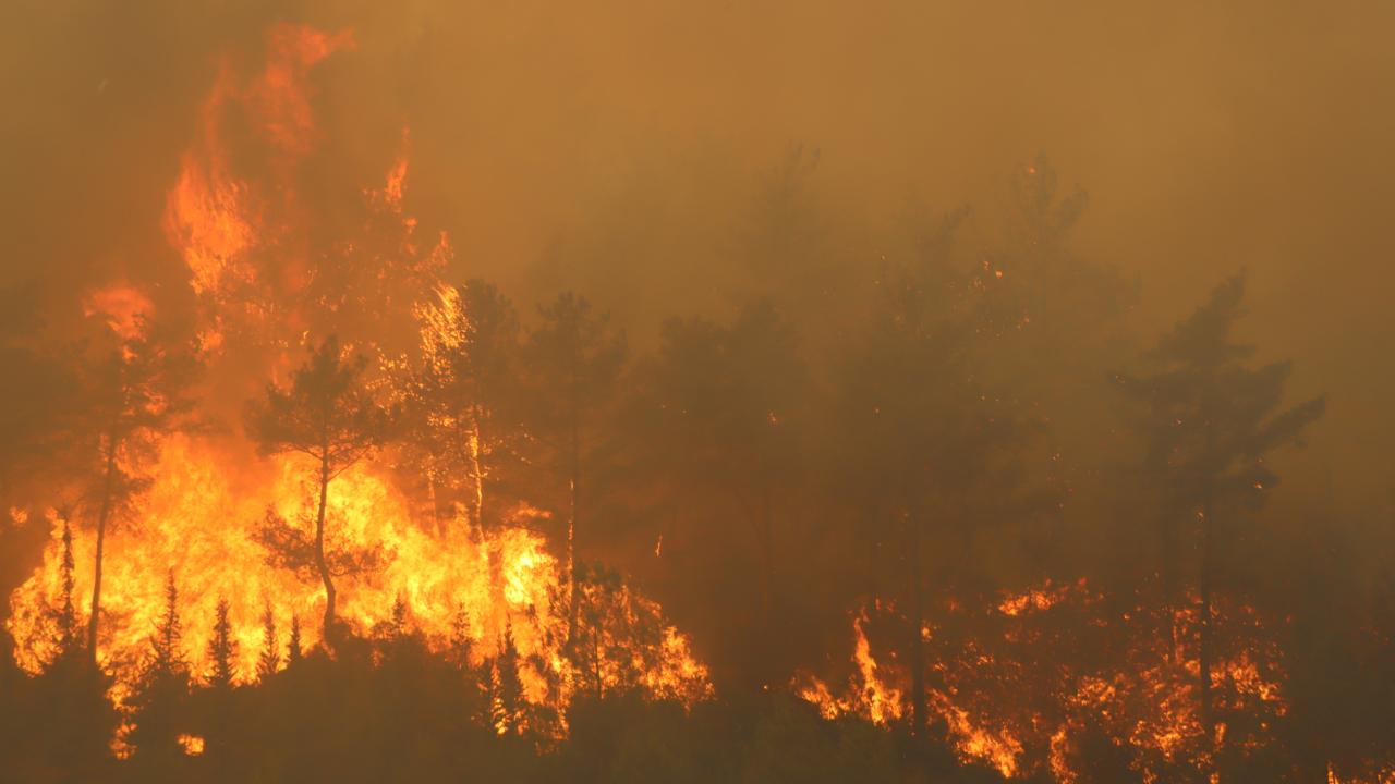 Hatay’da Yangınla Mücadele! Son Durum Ne1