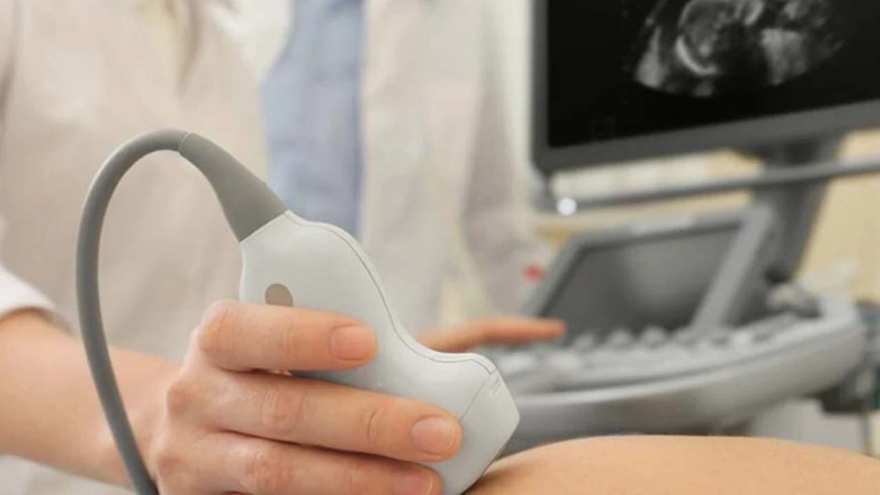 Ikili Tarama Testi Nedir 1