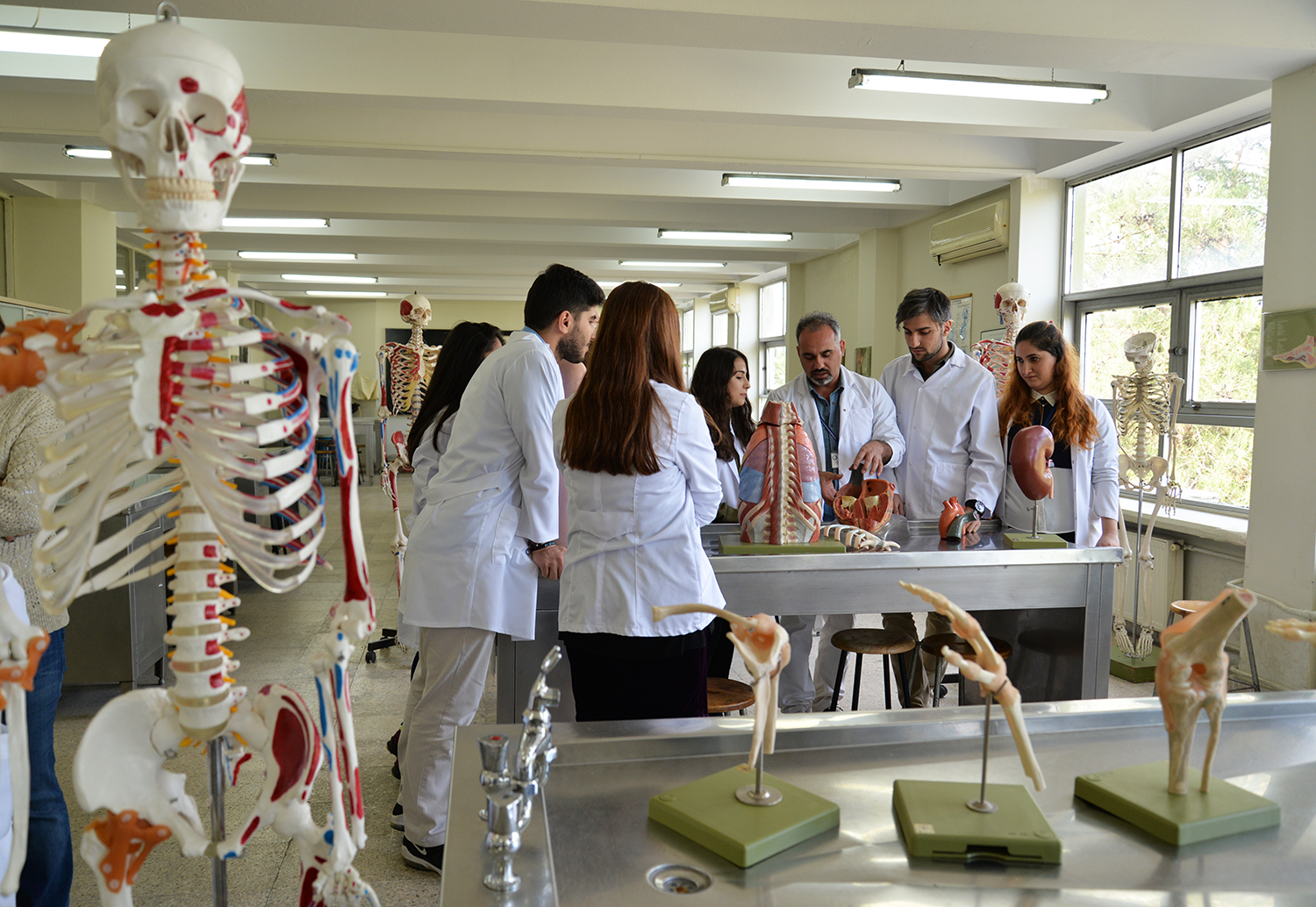 Kadavra Nedir, Kadavra Bağışı Nedir Ne Işe Yarar, Detaylı Bilgi5