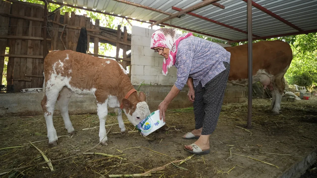 Kim Milyoner Olmak Ister Ile Unlendi Turkiye Onu Konusuyor 74 Yasindan Sonra Fenomen 3239364 202508051055 2