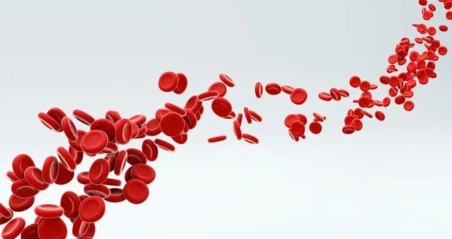 Lym Yüksekliği Nedir