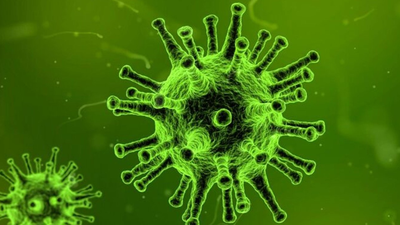 Maymun Çiçeği Virüsü Nedir