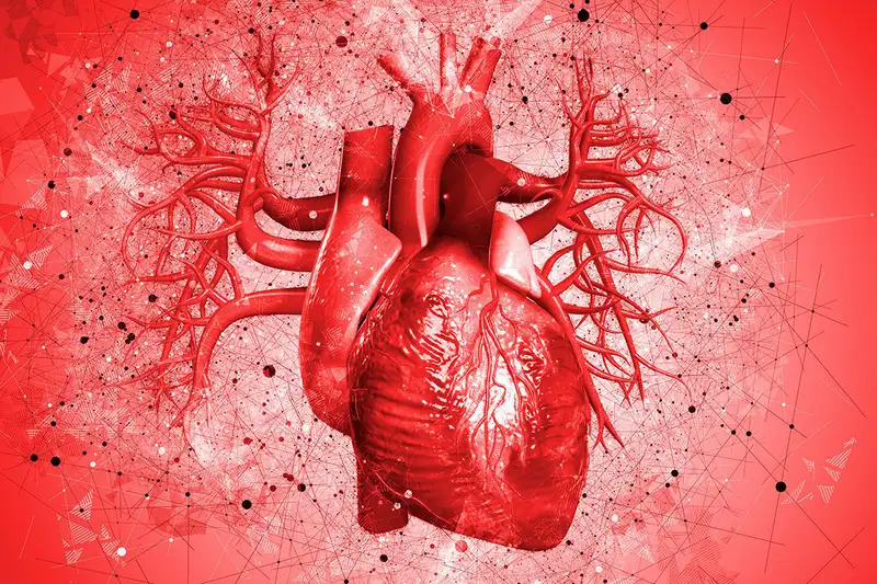 Oksitosin Nedir 3