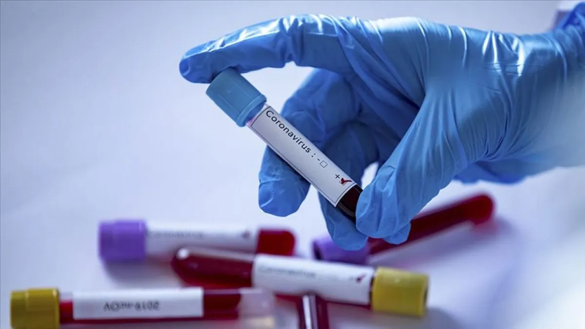 Oksitosin Nedir1