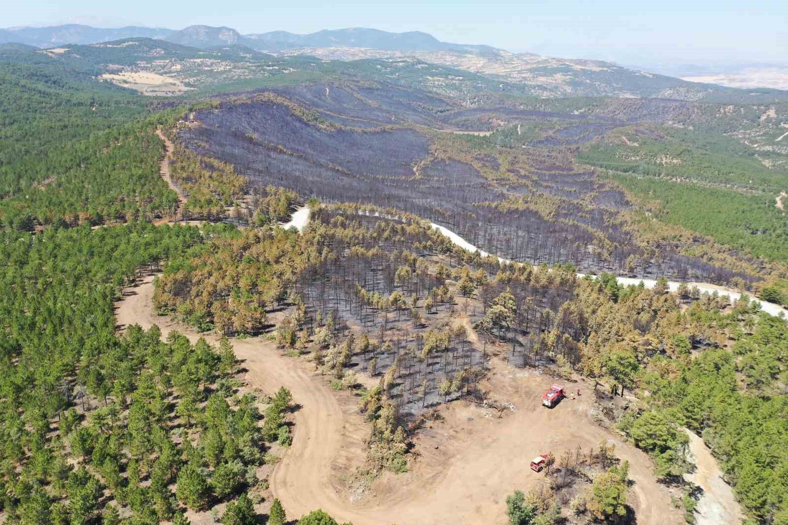 Orman Yangınları Yanan Alanlar Imara Açılmıyor