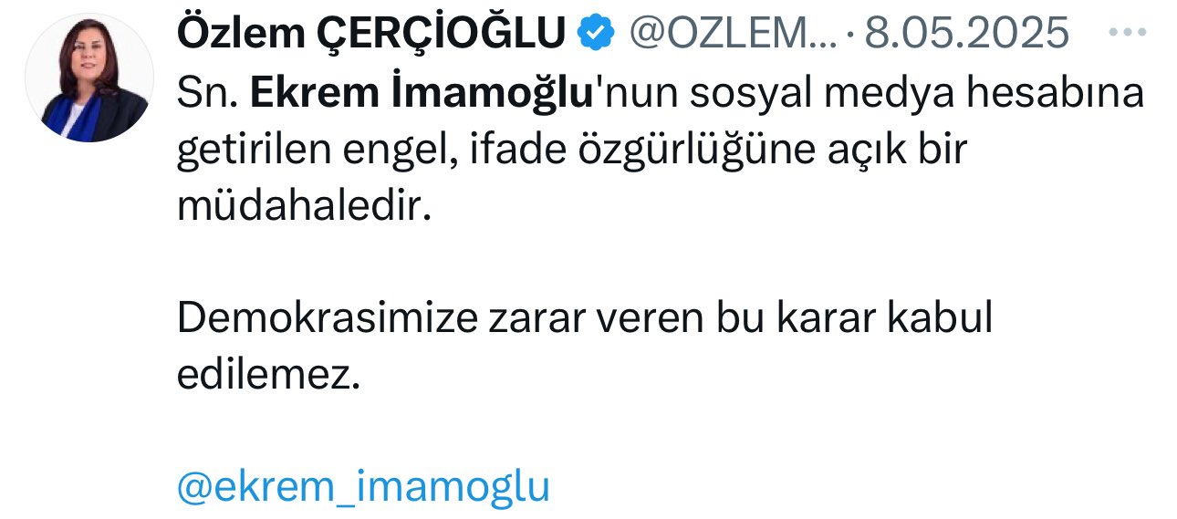 Özlem Çerçioğlu X