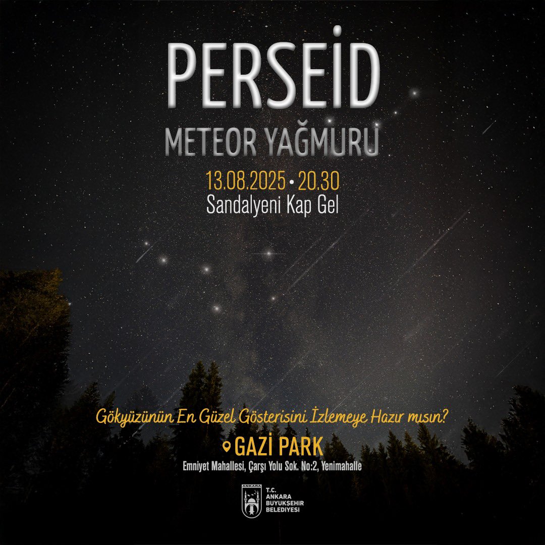 Perseid Yağmuru