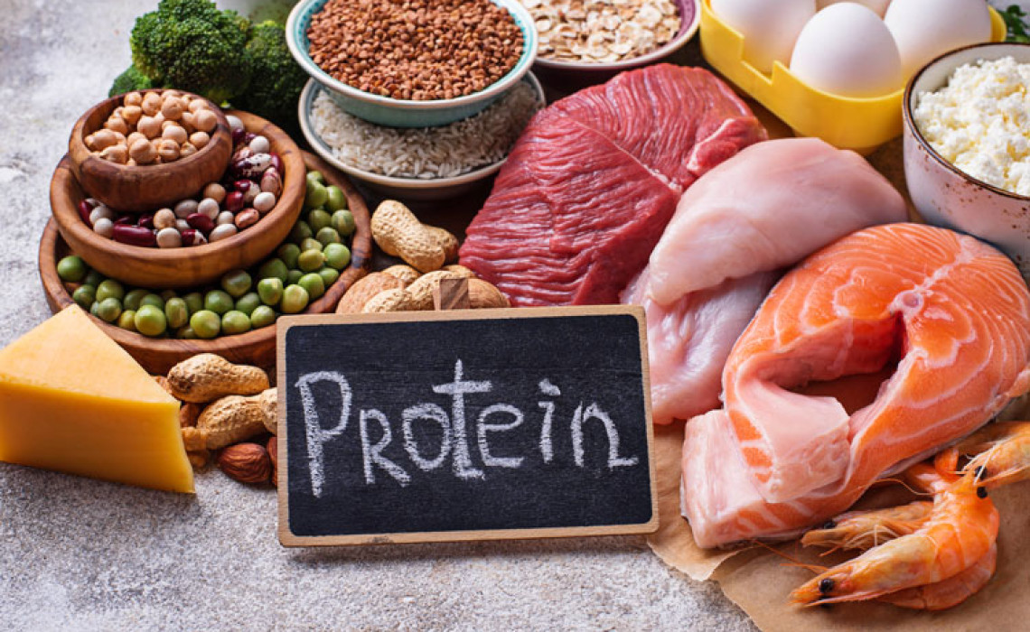 Proteinnedir 3
