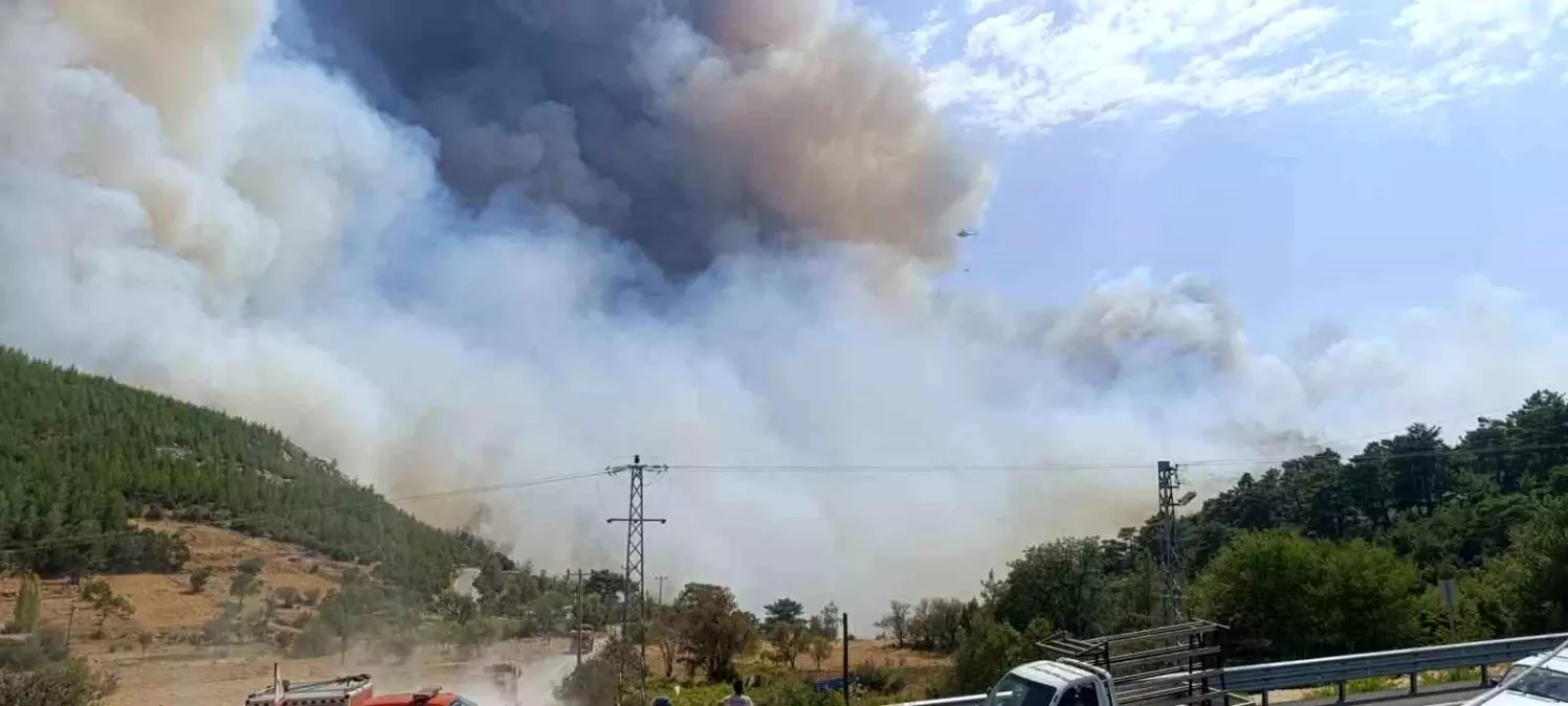 Silifki’deki Yangının Sebebi Ortaya Çıktı 4 Kişi Tutuklandı