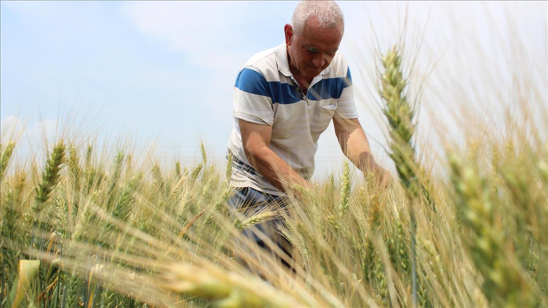 Toprağa Can, Üreticiye Nefes Oldu Tarıma 6 Ayda Dev Yatırım2