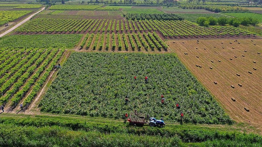 Toprağa Can, Üreticiye Nefes Oldu Tarıma 6 Ayda Dev Yatırım3