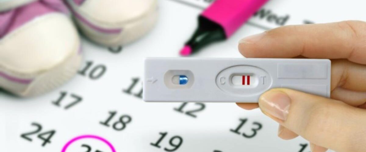 Yumurtlama Dönemi 3