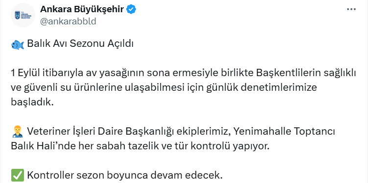 Abb Balık Hali