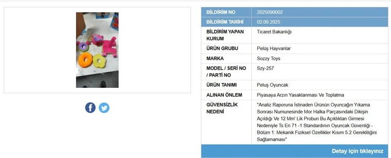 Anne Babalar Bu Oyuncağa Dikkat