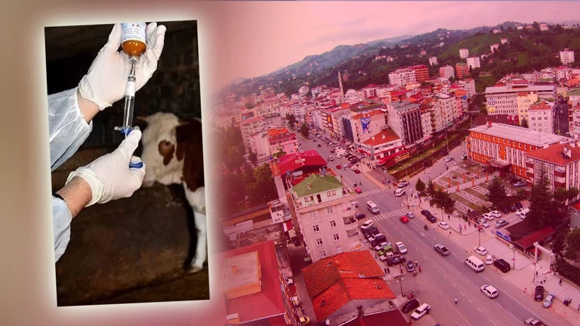 Besi̇ci̇leri̇n Kabusu