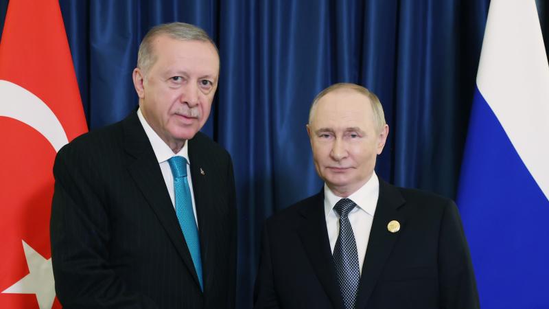 Erdogan 2393741 1