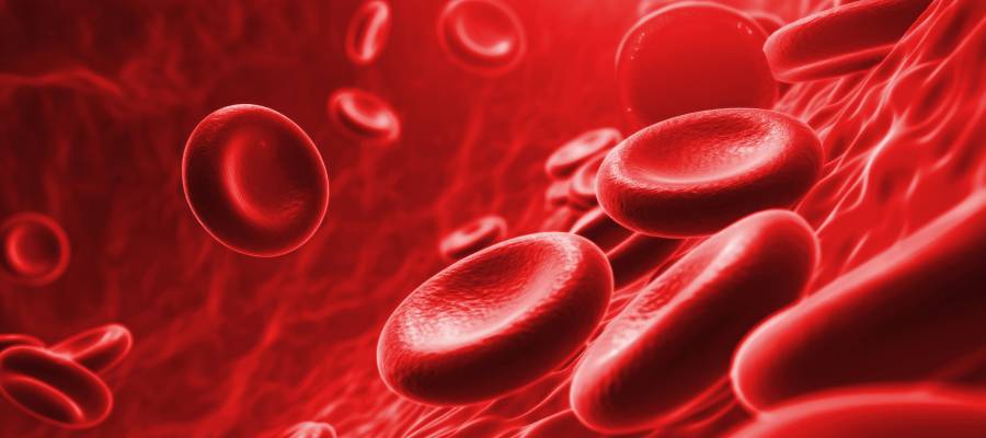 Hemoglobin Nedir