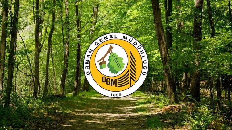 Ogm’den 262 Işçi Alımı! Başvuru Şartları Ve Kura Süreci Açıklandı3