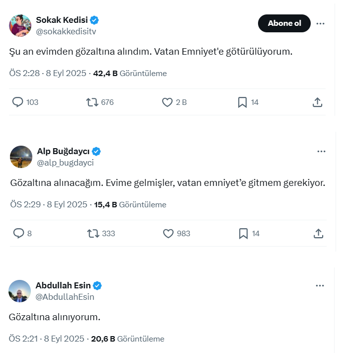 Sokak Kedisi Fenomen