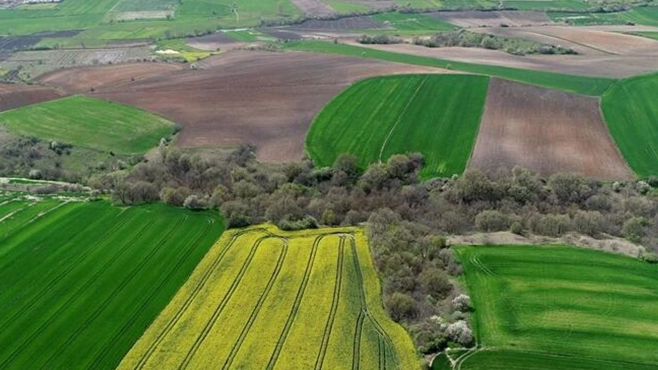 Tapu Sahiplerinin Beklediği Düzenleme İmar Hakkı Aktarımı2