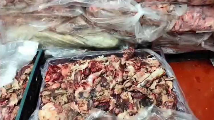Vatandaşın Sofrasına Gidecekti Ankara’da Bozuk Et Skandalı!