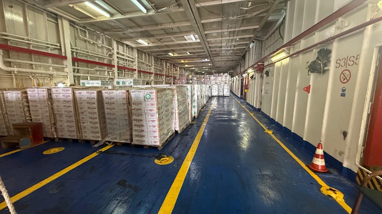 2025 10 20251017 2 71247368 118187456