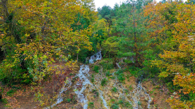 3833645 390093152629Bce015Decdff0666Fc20 640X640