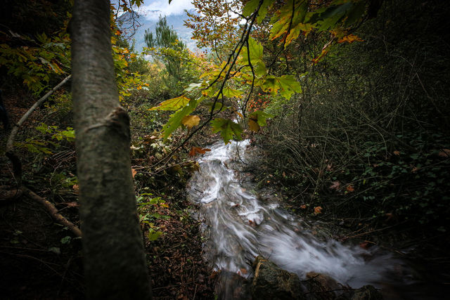 3833645 8A48Fa02942484B27Fda5B1Eb1C974C8 640X640 (1)