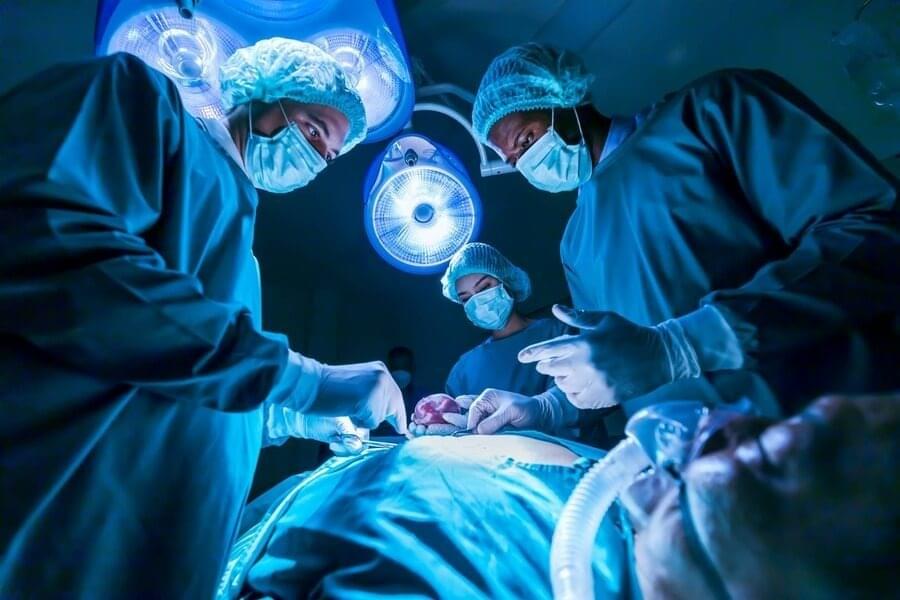 Bakan Memişoğlu Duyurdu Organ Bağışı E Devlet’ten Vasiyet Ile Yapılabilecek2
