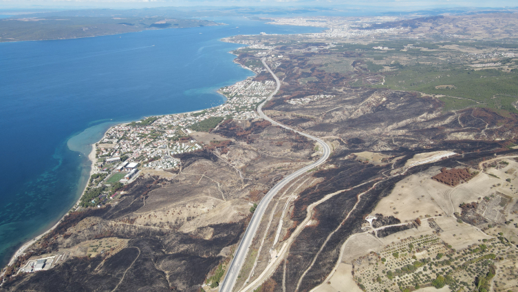 Çanakkale Ormanları