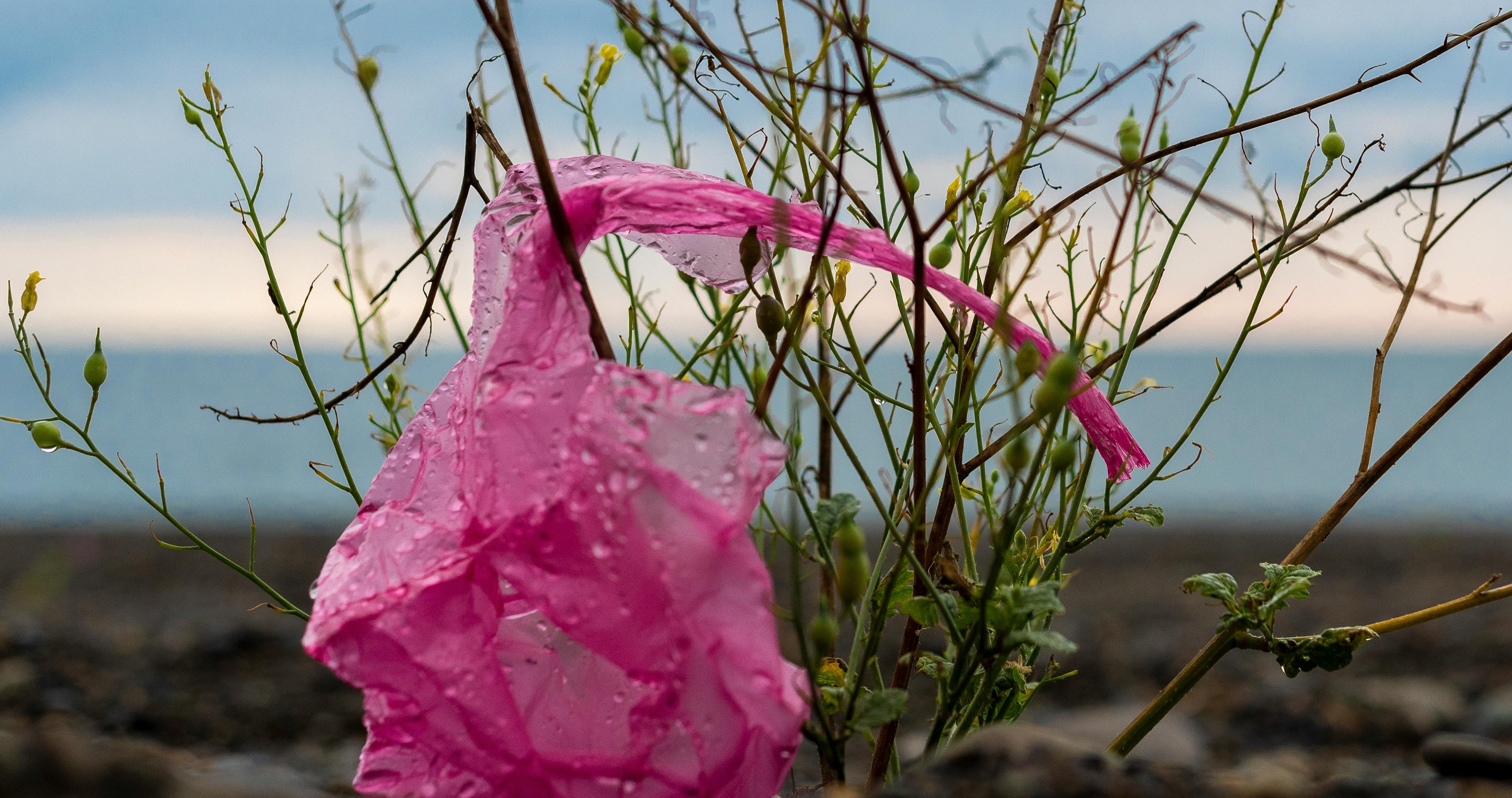 “Çevre Kirliliği Hepimizin Sorumluluğunda! Farkındalık Artmalı”