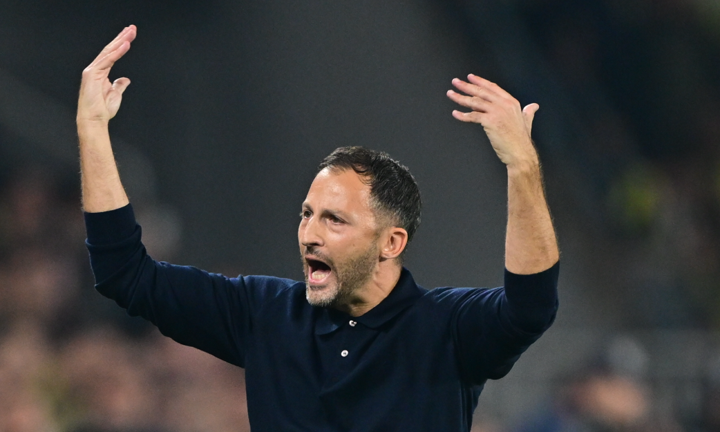 Fenerbahçe Stuttgart Avrupa Ligi Tedesco 3