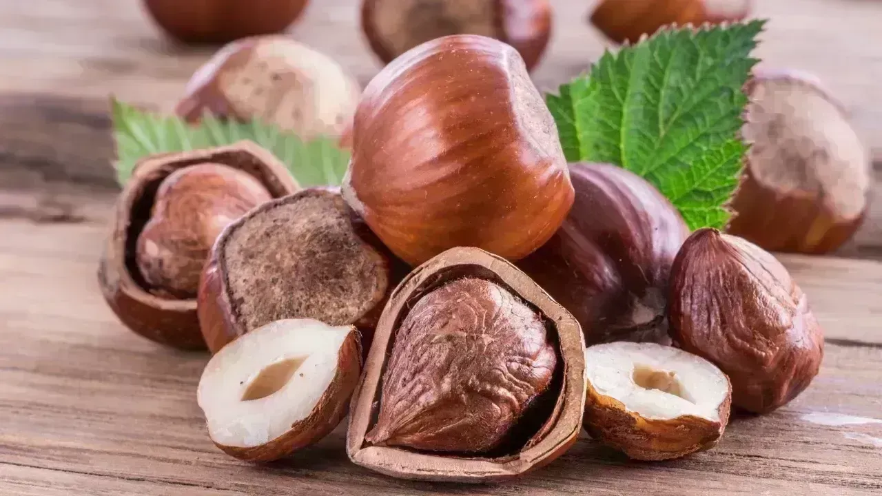 Fındık Ne Kadar Oldu 30 Ekim 2025 Fiyatı Ne Kadar, Güncel Rakamlar Kaç Tl 2