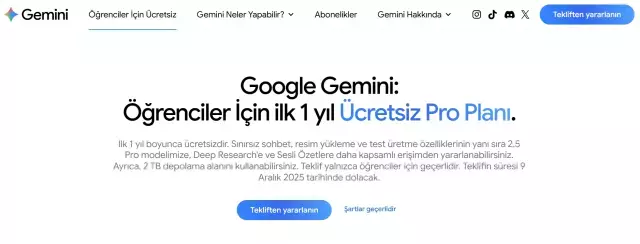 Google Gemini Pro