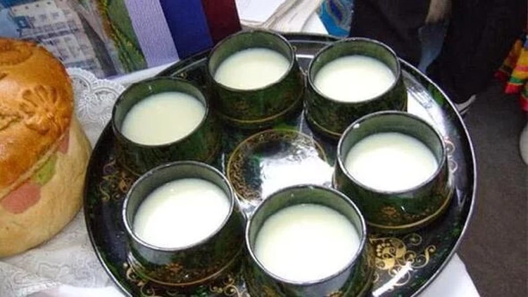 Kımız Nedir, Neden Yapılır Faydaları Nelerdir, Helal Midir