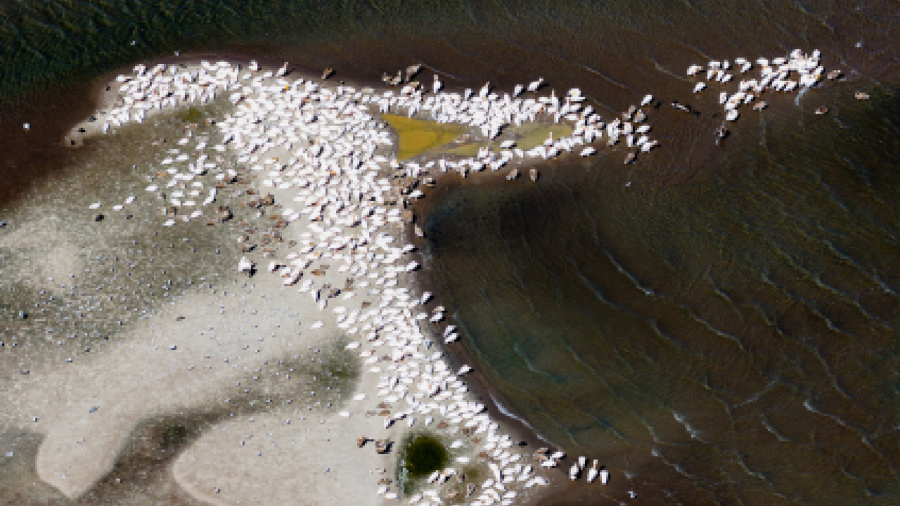 Kuraklık Manyas Gölü'nü de vurdu!