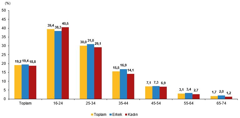 Tüi̇k Araştırması Yapay Zeka Kullanımı Eğitim Seviyesiyle Doğru Orantılı2