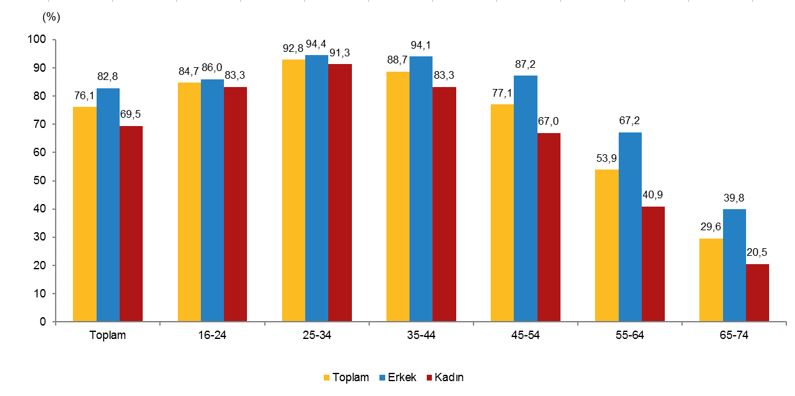 Cinsiyet ve yaş grubuna göre e-devlet hizmetlerini kullanan bireylerin oranı, 2025