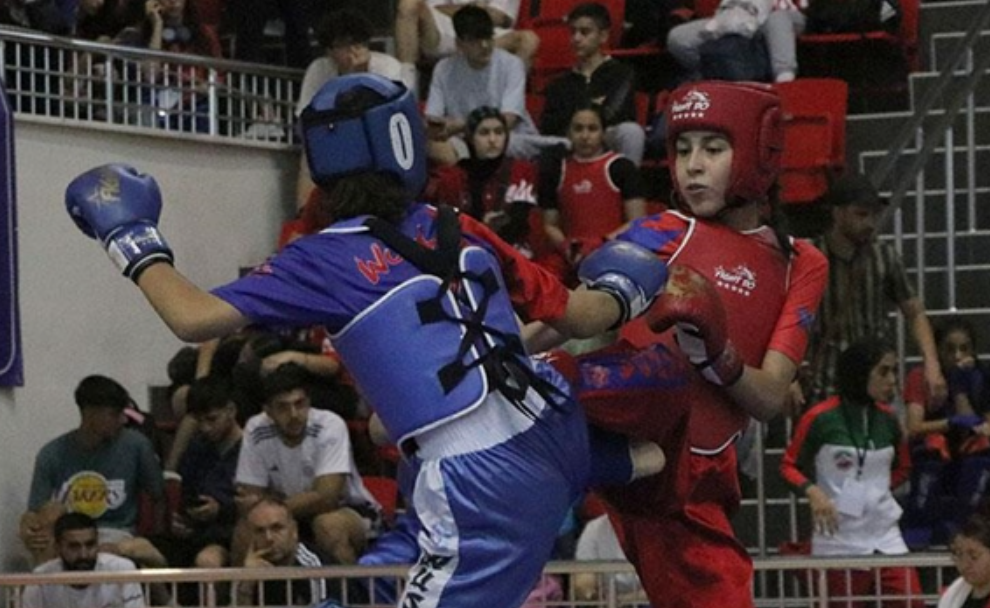 Wushu Türkiye