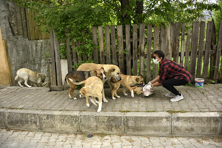 2021 M A Y I S 23 Kopek 20210523 2 48423345 65433981