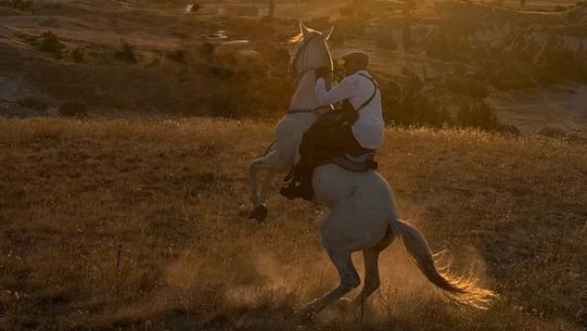 3840071 6B41Fa0A1664E6Aee6006F14A57260Ca