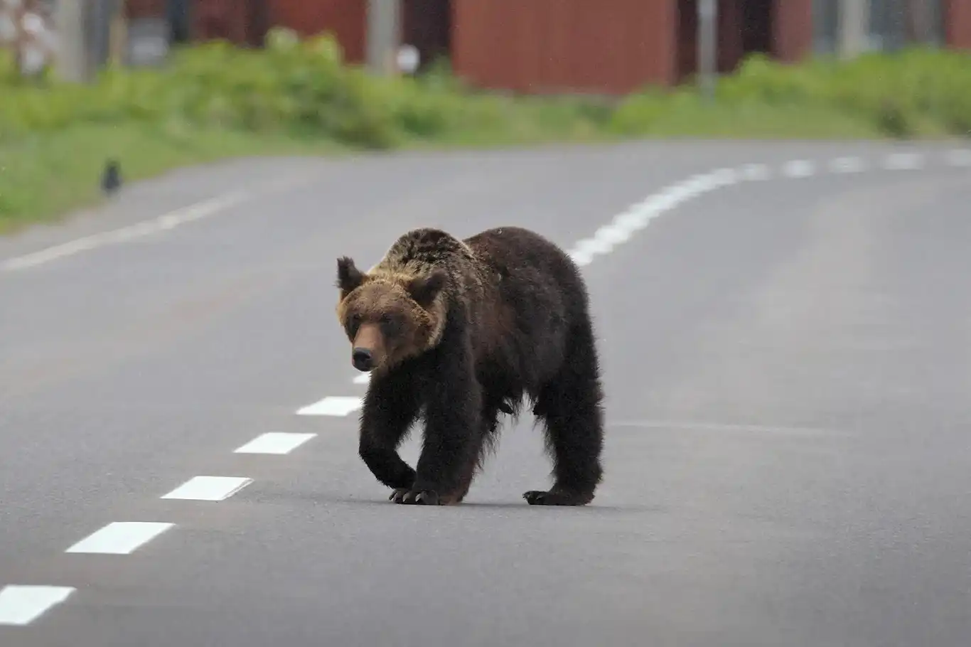 75C0D142 Ed20 4330 A539 7E8251D65Ec2